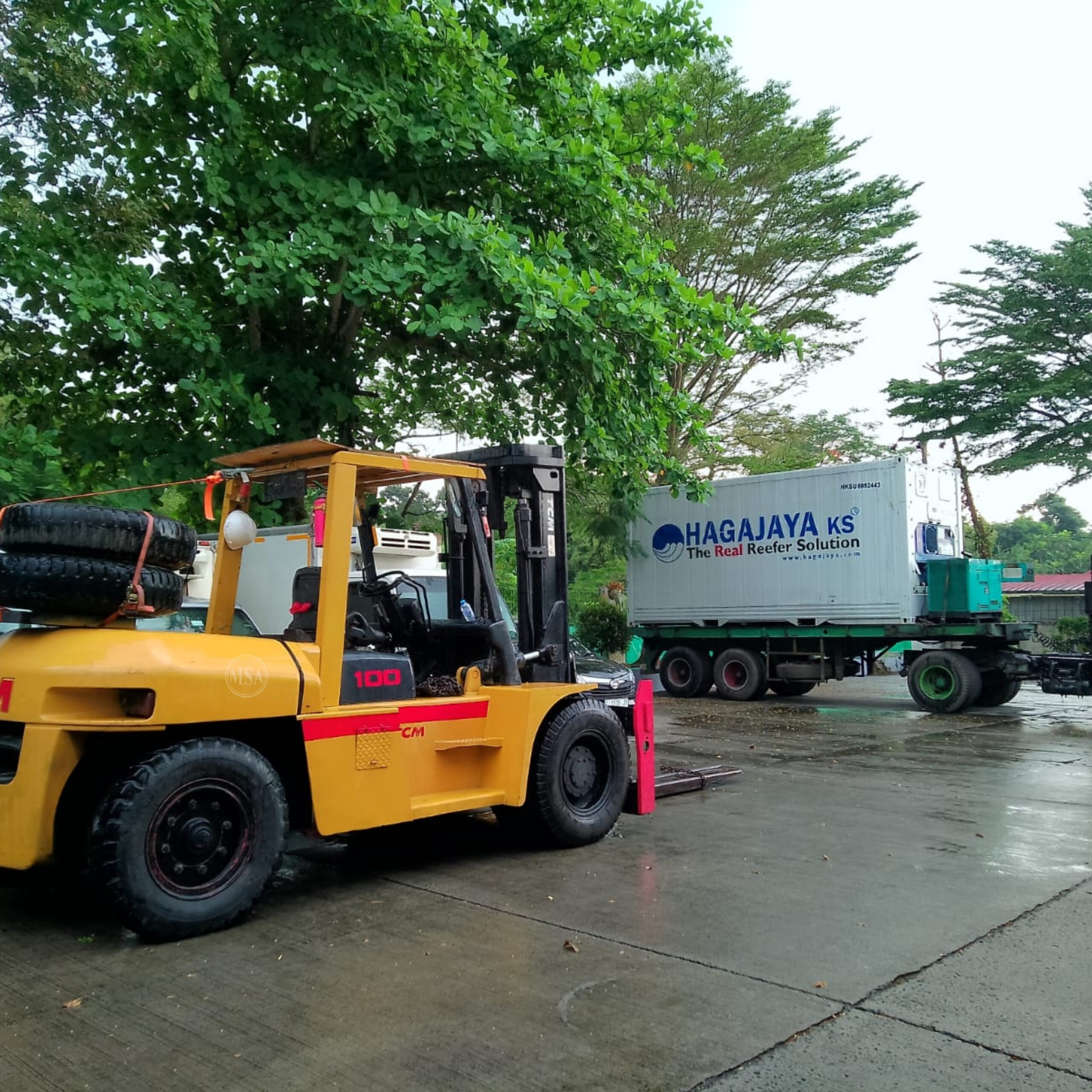 Rental Forklift 10 Ton 10